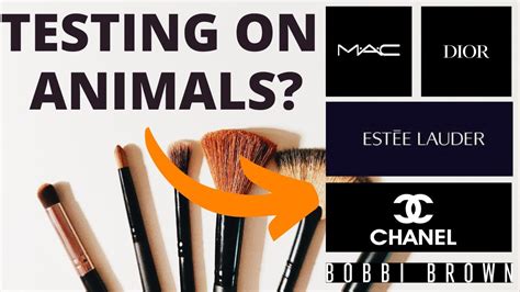 chanel animal cruelty|Chanel animal testing ban.